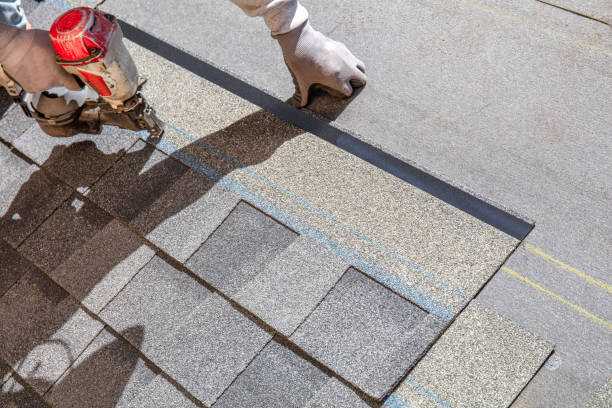 Best Roof Gutter Cleaning  in Penn Valley, CA