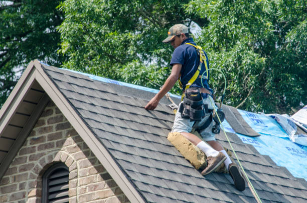 Roof Waterproofing Services in Penn Valley, CA
